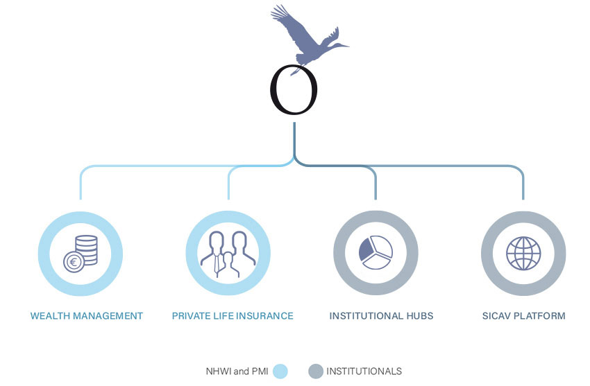 Olympia Wealth Management | Fields of Expertise